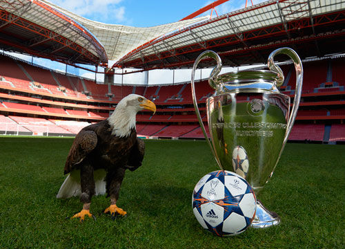 而是自我定 而是自我定